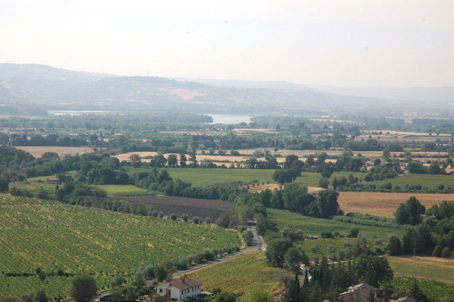 Casa Mimmo Villa Castiglione In Teverina Rum bild